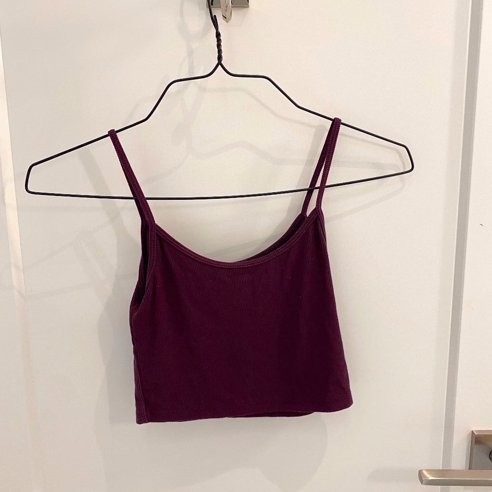 Brandy Melville Crop Top